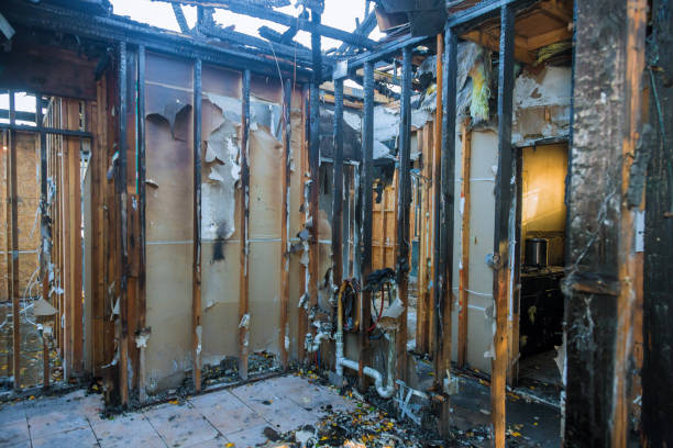Professional Soot Cleanup technician working in Ravensdale, WA
