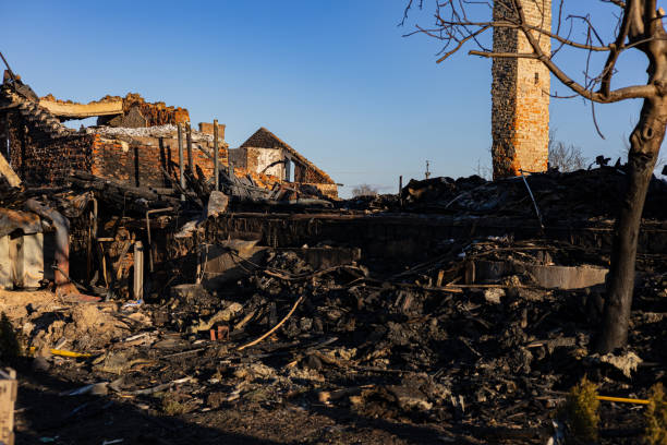 Reliable Soot Cleanup contractor in Ravensdale, WA by Fire Damage Laser Cleaning